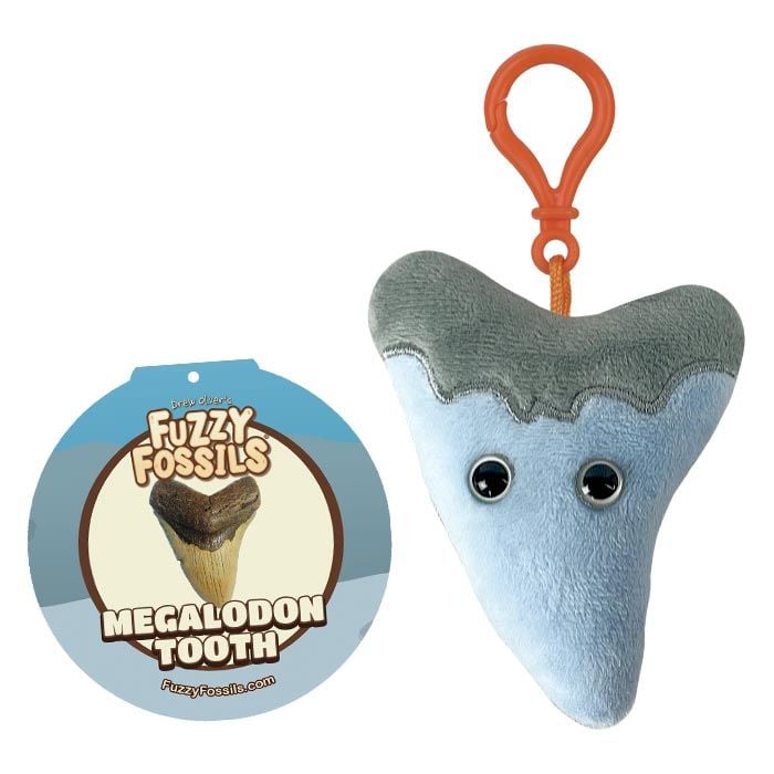 Megalodon Tooth key chain tag