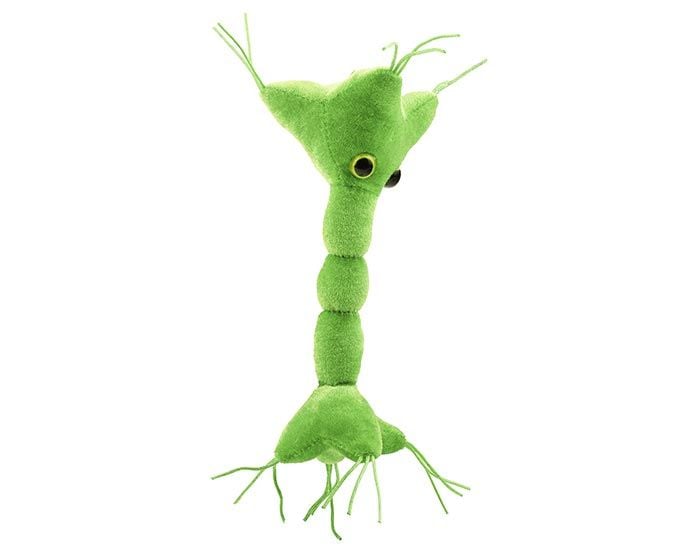 Nerve Cell plush angle