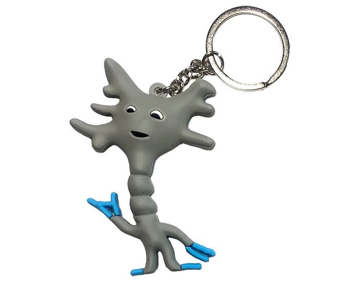 Neuron key chain