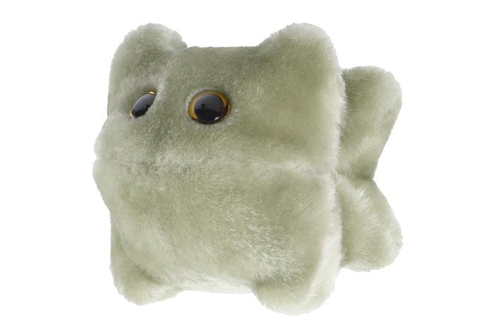 Norovirus plush angle