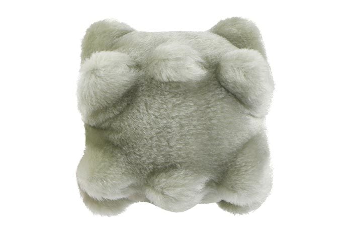 Norovirus plush back