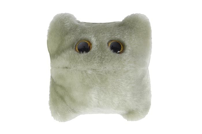 Norovirus plush front view