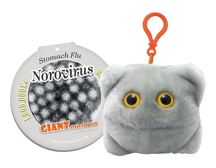 Norovirus key chain with tag