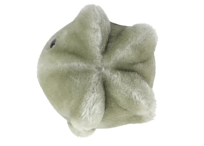 Norovirus plush side