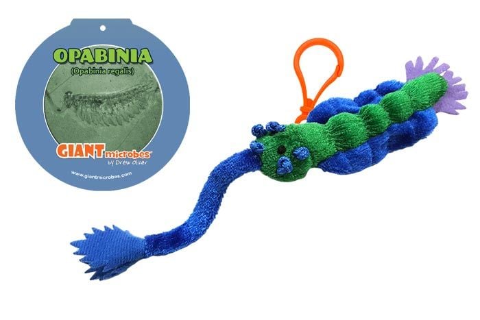 Opabinia key chain with tag