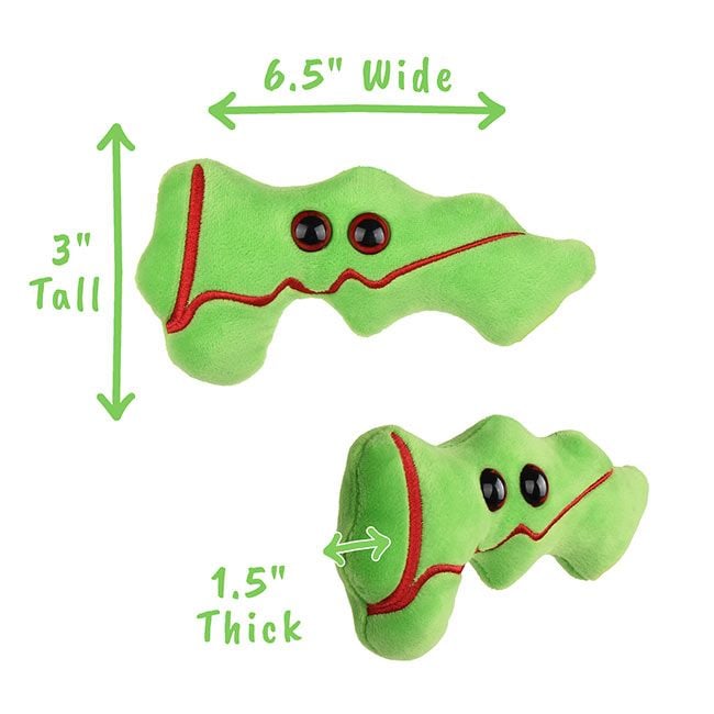 Pancreas plush dimensions