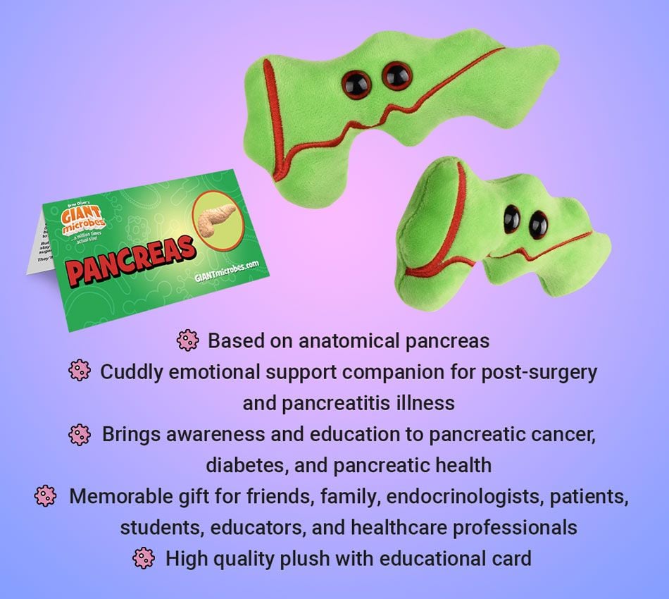 Pancreas plush bullet points