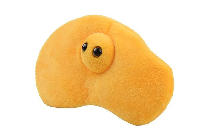 Pee plush angle