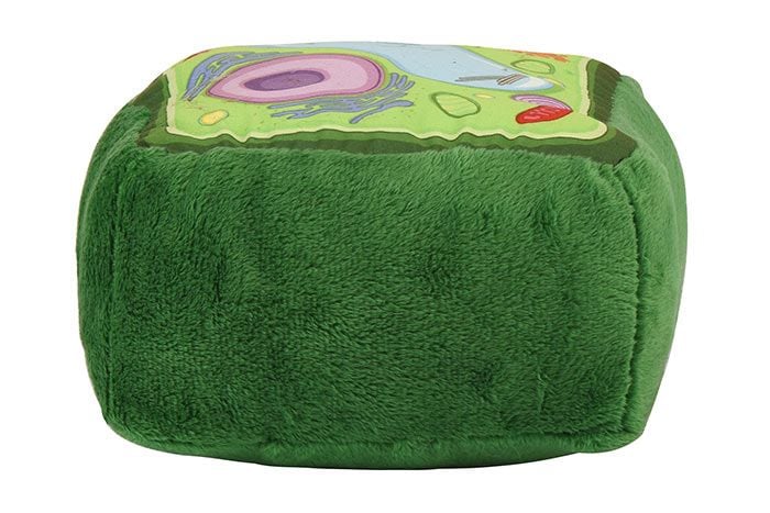 Plant Cell plush back