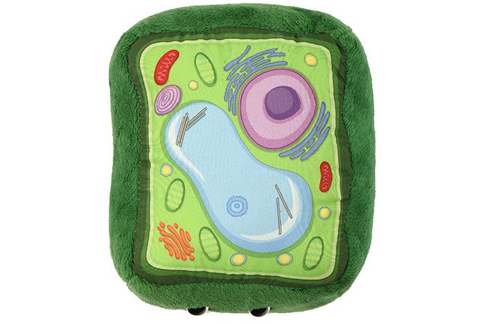 Plant Cell plush top