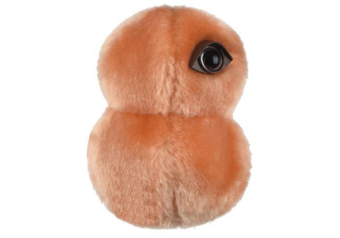 Pneumonia plush side