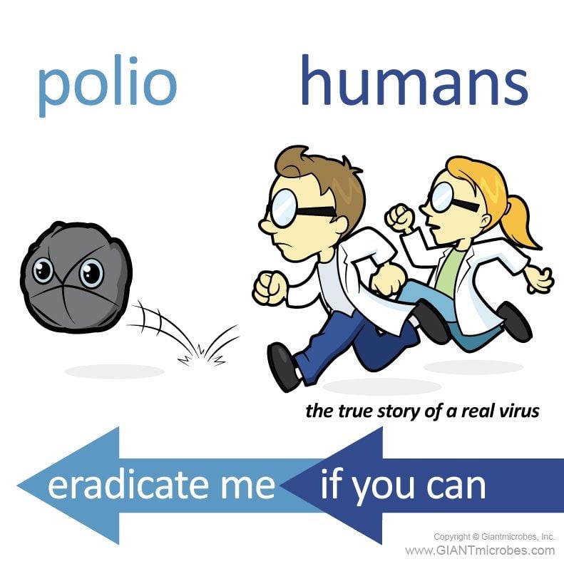 Polio catch me cartoon