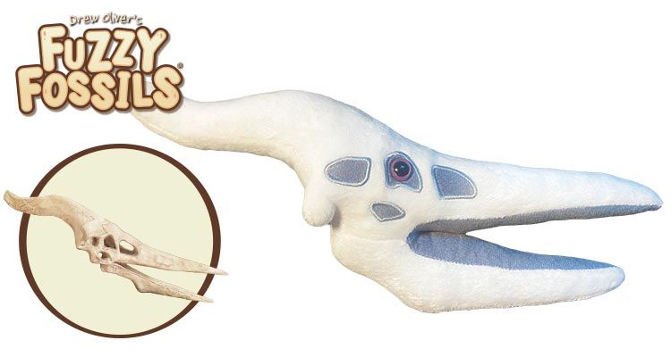 Pteranodon skull cluster