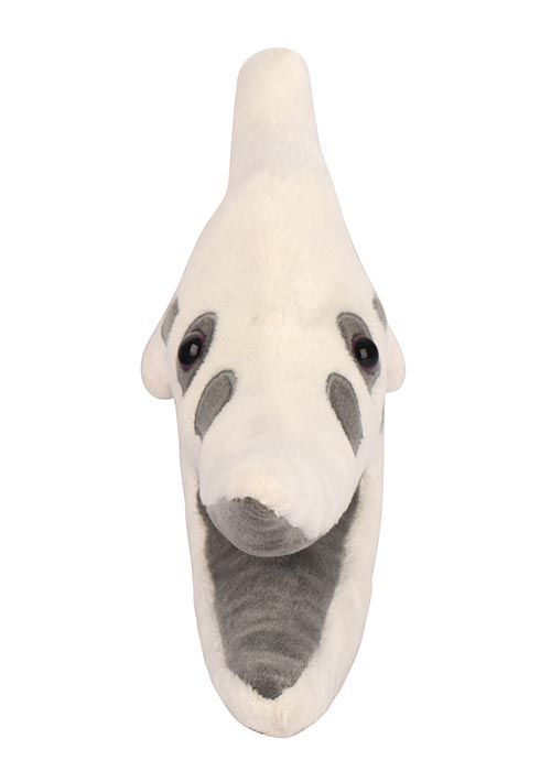 Pteranodon skull plush front