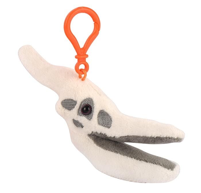 Pteranodon key chain angle