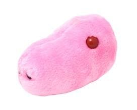 Details about   GIANT MICROBES GIGANTIC FLU-Stuffed Plush Influenza Virus Biology Science NEW! 