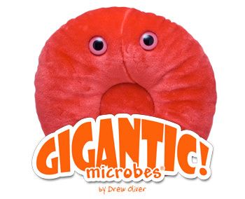 Red Blood Cell Gigantic 14