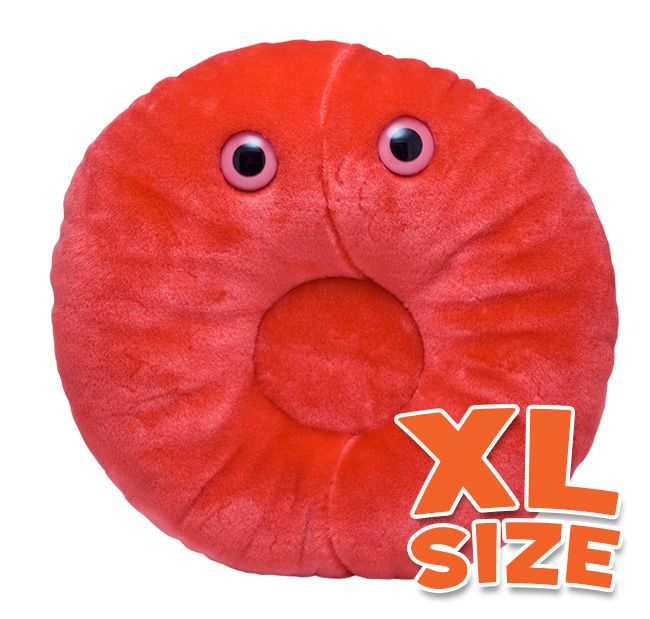 Red Blood Cell XL