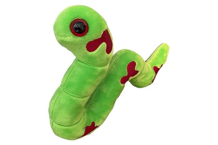 Ringworm plush side