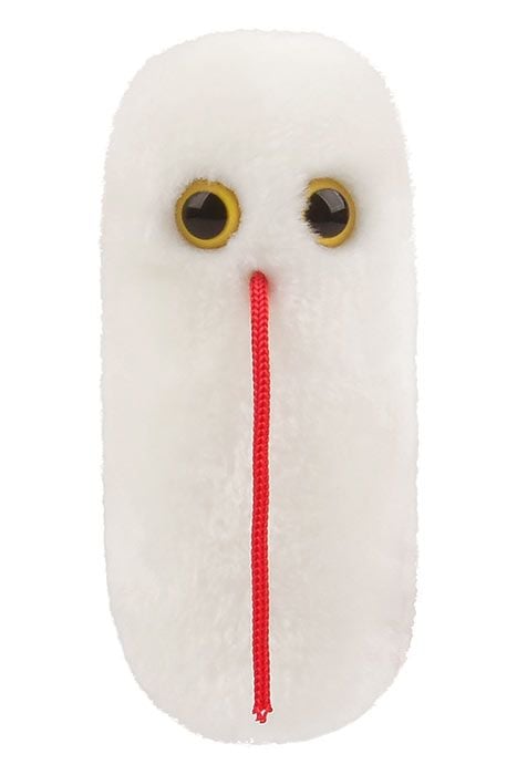 Details about   GIANT MICROBES-SALMONELLA PETRI DISH-Stuffed Plush Raw Food Poisoning Bacteria