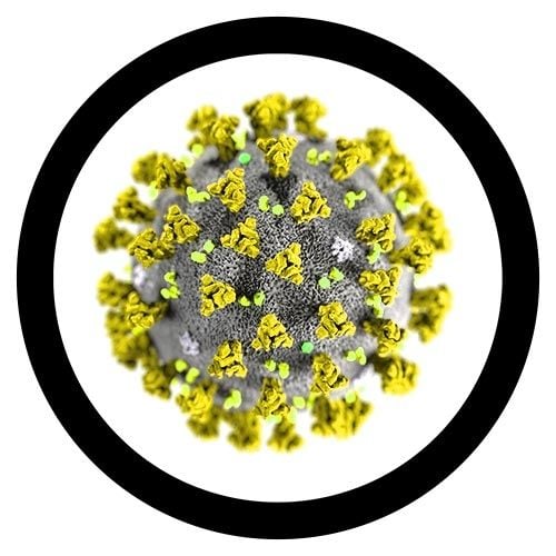 SARS-CoV-2 microbial