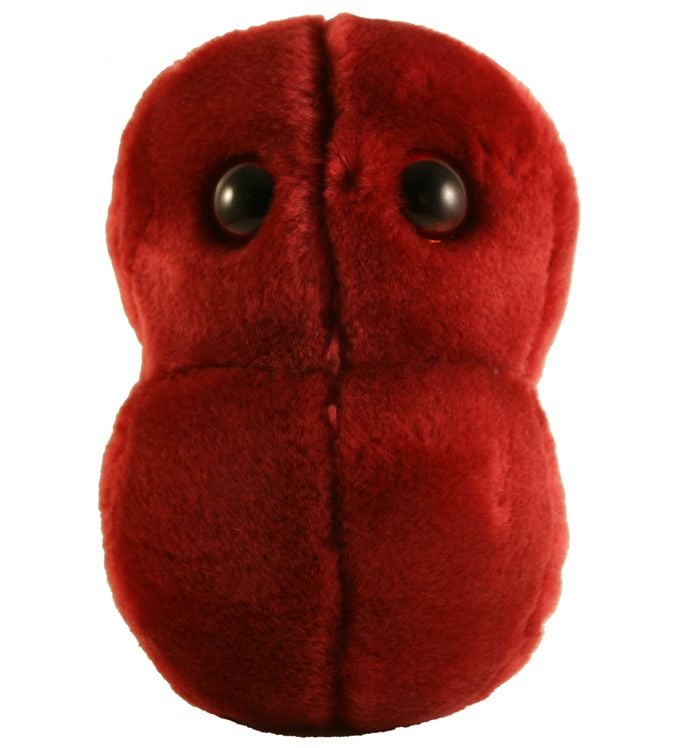 Sore Throat plush