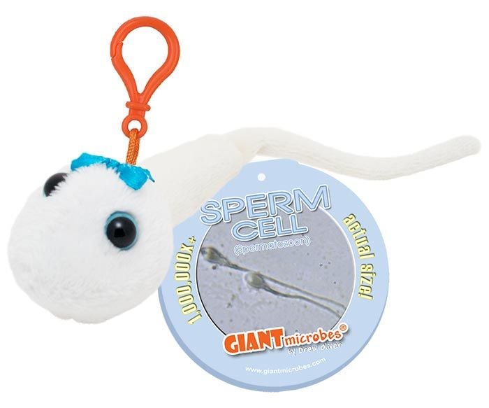 Sperm Cell key chain with tag