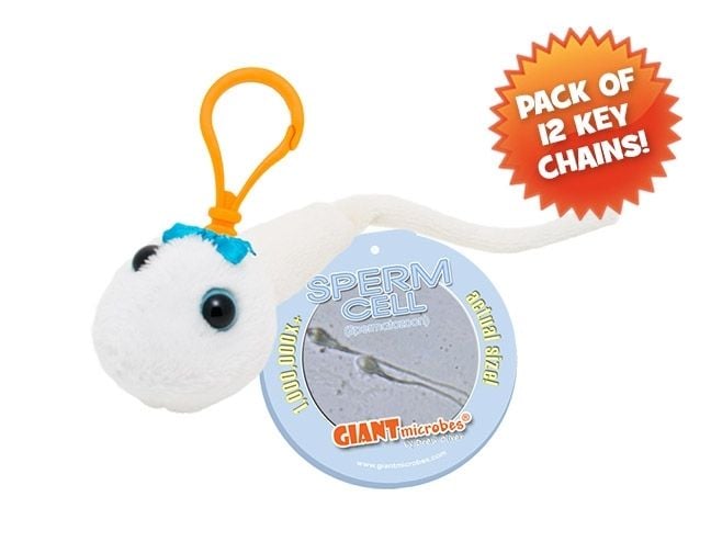 Sperm Cell Key Chain 12 Pack