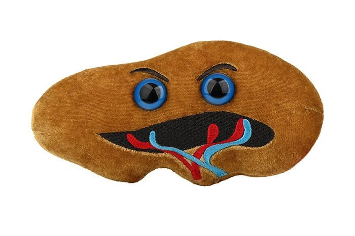 Spleen plush front