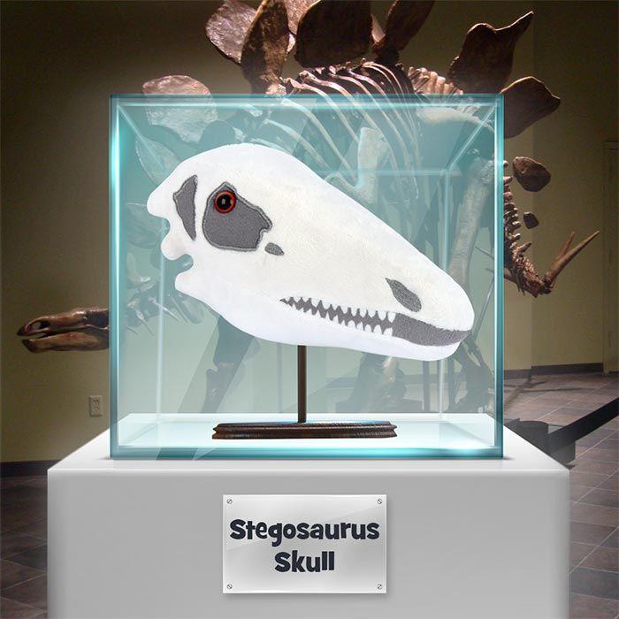 Stegosaurus plush museum glass