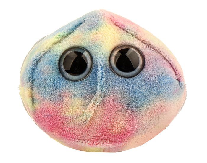 Stem Cell plush front