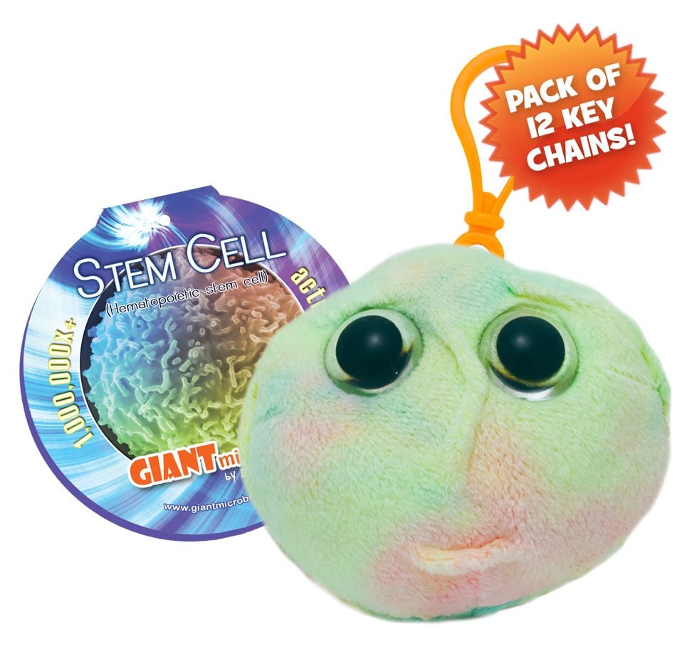 Stem Cell KC pack