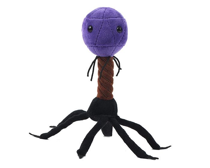 Peluche microbe du bactériophage T4