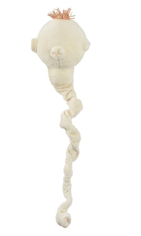 Tapeworm plush back