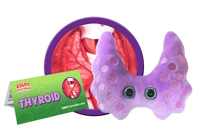 Thyroid plush cluster