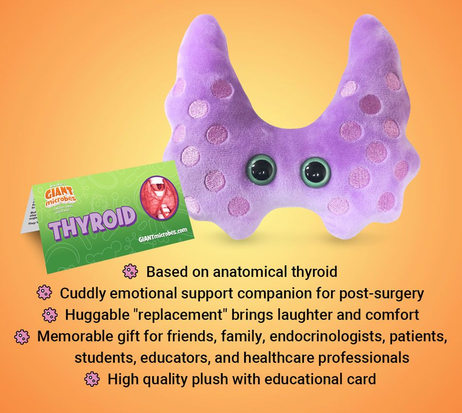 Thyroid plush bullet points