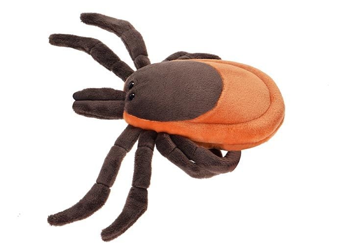 Tick plush side