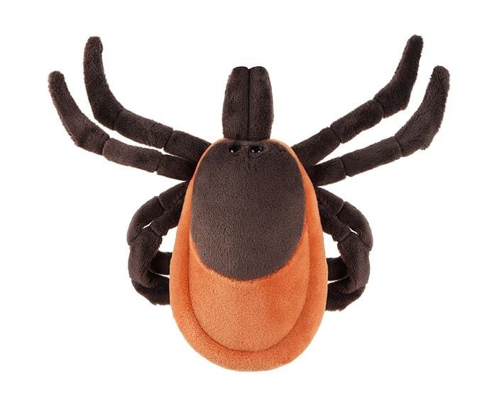 Tick plush top view