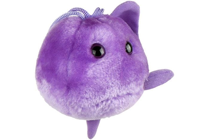 Trichomoniasis plush angle