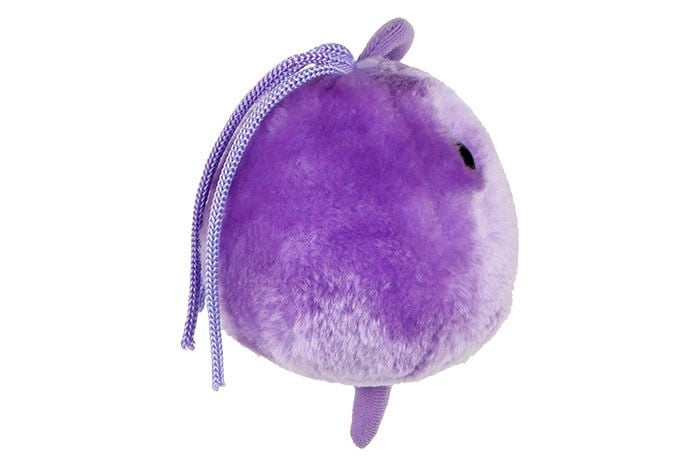 Trichomoniasis plush side