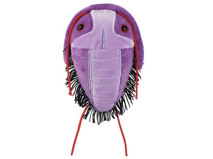 Trilobite plush front