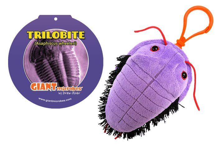 Trilobite key chain with tag