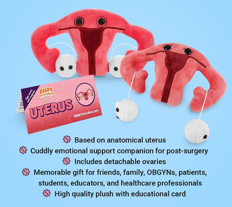 Uterus plush bullet points