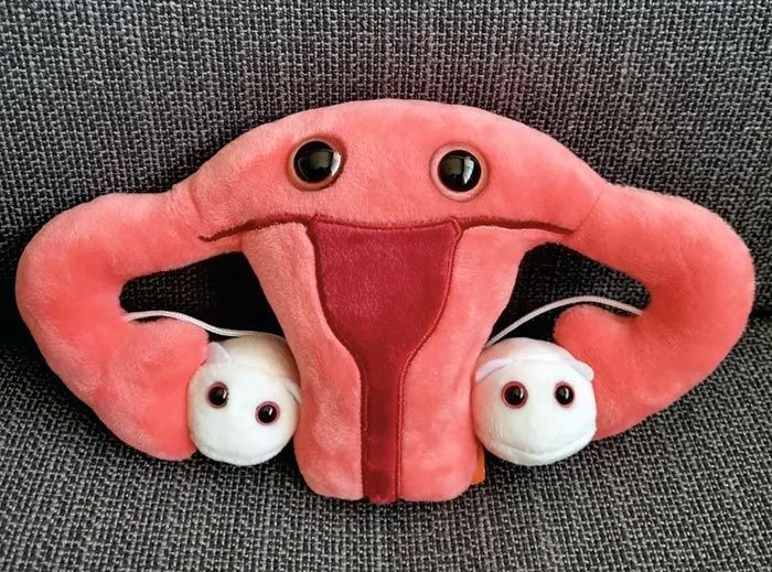 Uterus plush on couch