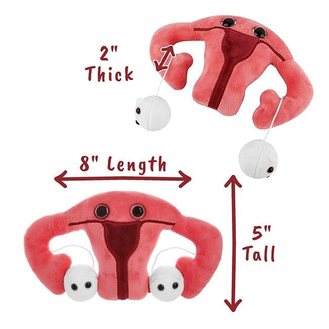 Uterus plush dimensions