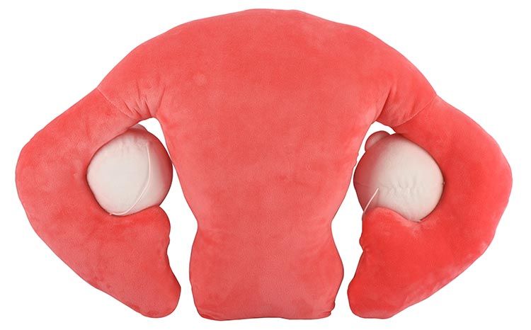 Uterus gigantic new back