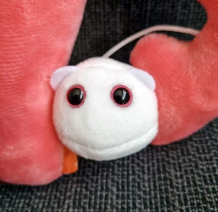 Uterus plush mini close