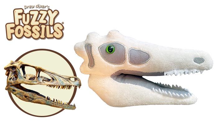 Velociraptor skull cluster