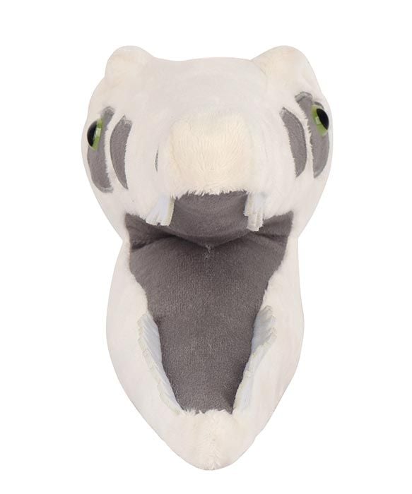 Velociraptor skull front