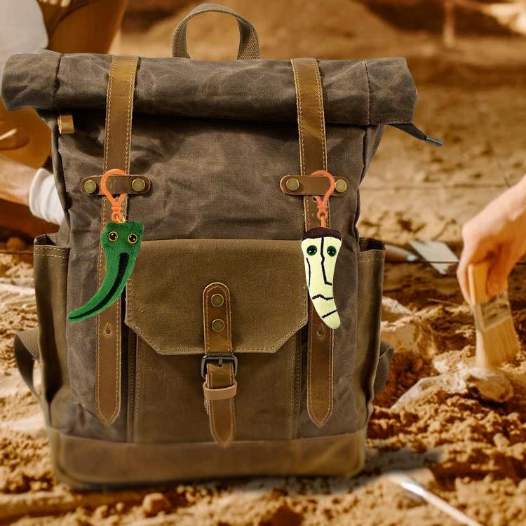 T. rex tooth and Velociraptor claw kc backpack